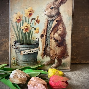 May include: A vintage-style illustration of a rabbit wearing a brown coat standing next to a bucket of daffodils. The bucket is labeled "Spring Thyme".