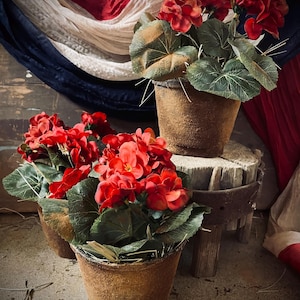 May include: Three potted plants with vibrant red flowers and large green leaves. The pots have a textured, brown appearance. The plants are arranged on a rustic wooden surface, with a backdrop of draped fabric in red, white, and blue.