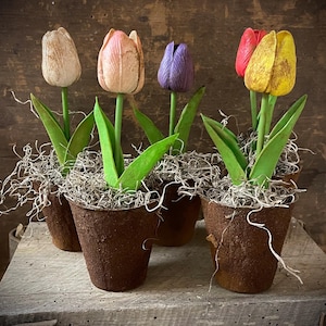 May include: Five small potted tulips in rusty brown pots with green leaves and moss. The tulips are in various colors: white, pink, purple, red, and yellow.