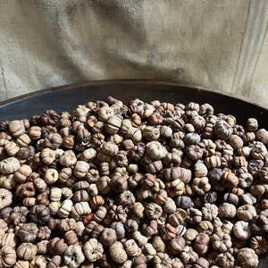 May include: A close-up of a bowl filled with dried, light brown and beige flower buds. The buds are arranged in a random pattern and appear to be dried and ready for use.