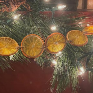 Puede incluir: Una guirnalda festiva de rodajas de naranja secas ensartadas con hilo, intercaladas con agujas de pino y peque&ntilde;as luces blancas. Los c&aacute;lidos tonos naranjas contrastan con el verde y el blanco, creando una decoraci&oacute;n acogedora.