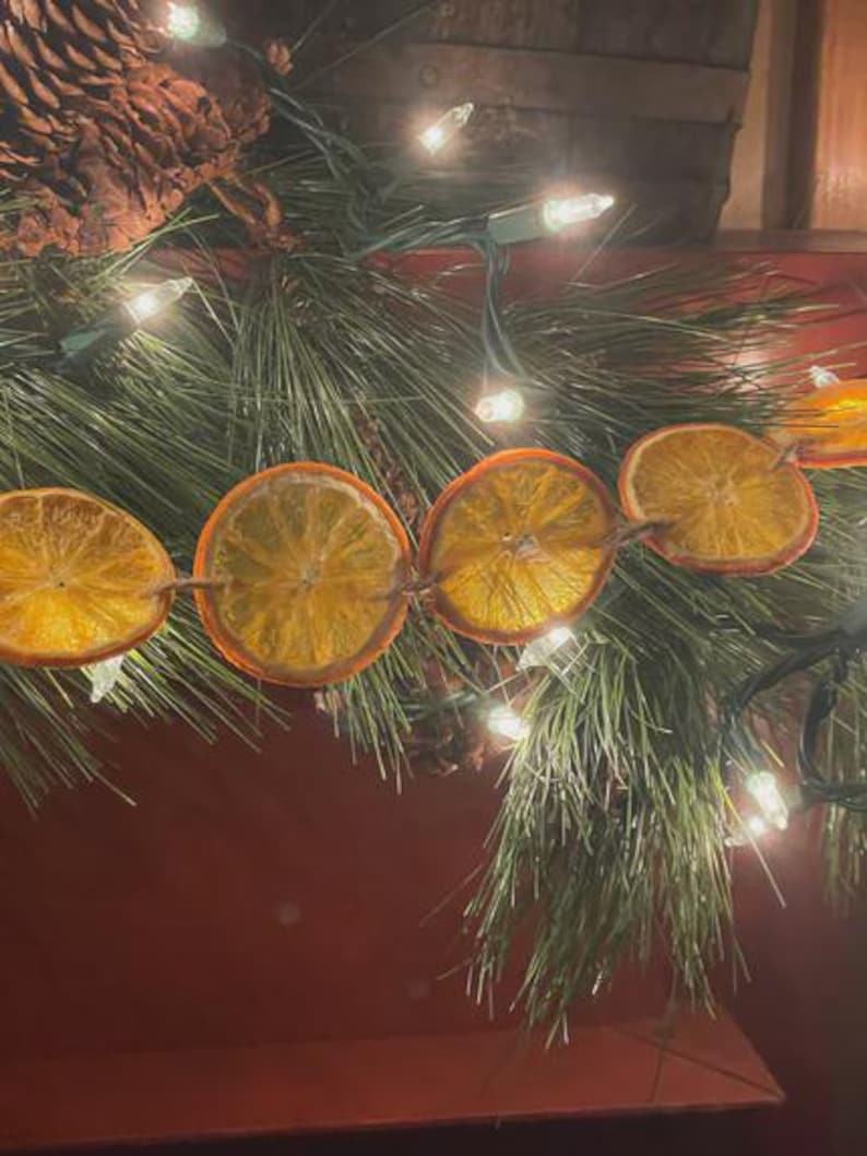 Puede incluir: Una guirnalda festiva de rodajas de naranja secas ensartadas con hilo, intercaladas con agujas de pino y peque&ntilde;as luces blancas. Los c&aacute;lidos tonos naranjas contrastan con el verde y el blanco, creando una decoraci&oacute;n acogedora.