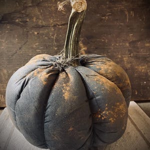 May include: A handcrafted, dark gray fabric pumpkin with a long, textured green stem. The pumpkin has a rustic, aged appearance with patches of orange-brown coloring, suggesting a vintage or farmhouse style. The pumpkin is a decorative item.