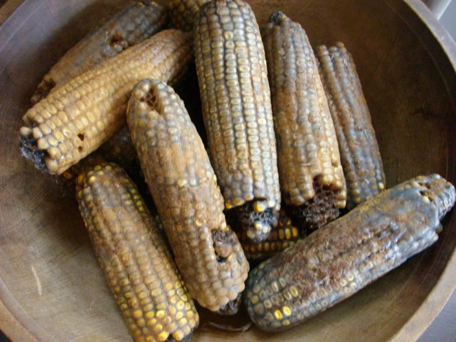 3 Primitive Fall Blackened Wax Corn Bowl Fillers - Etsy