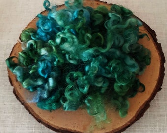 Hand Dyed  Curly Cotswold Locks Green/Teal 1 Oz.