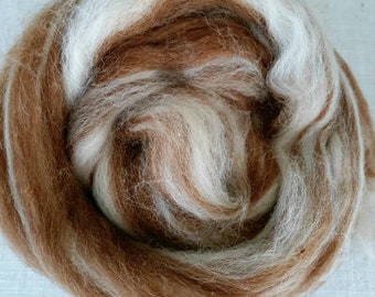 Natural Colored  Shetland Humbug Combed Top   4Oz.