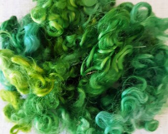 Hand Dyed  Curly Cotswold Locks Green/Lime 1 Oz.
