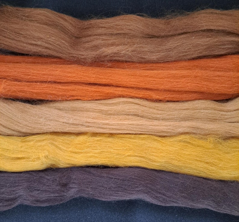 Top peigné laine mérinos 23 microns Beautiful Browns , 5 nuances 4,4 oz image 2