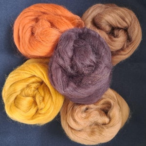 Top peigné laine mérinos 23 microns Beautiful Browns , 5 nuances 4,4 oz image 1
