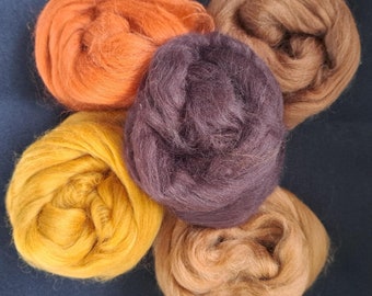 Merino 23 Micron "Beautiful Browns" Combed Top Collection 5 Shades 4.4 Oz