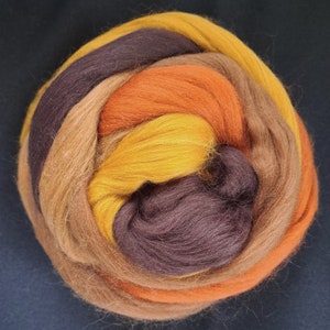 Top peigné laine mérinos 23 microns Beautiful Browns , 5 nuances 4,4 oz image 3