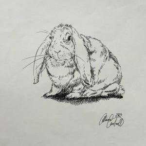 Vintage Pen Sketch