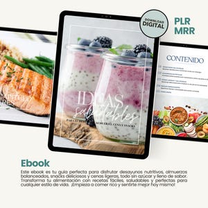 Healthy Sugar-Free Recipe Guide: Easy Breakfasts, Lunches, and Snacks for a Healthy Life - PLR - MRR