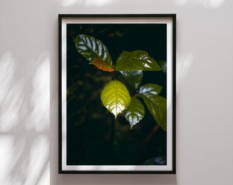 Natuurposter groen rustiek modern – Botanische kunst bos muurschildering, Scandinavische wanddecoratie, Zwarte Woud kunst voor de woonkamer