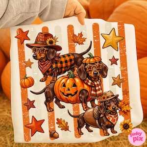 May include: A white fabric square featuring a graphic print of three dachshunds. One wears a hat with the text FALL Y'ALL and star-shaped glasses. Another wears a pumpkin costume. The third wears a hat and holds autumn leaves. Orange stripes, stars, and pumpkins decorate the background.