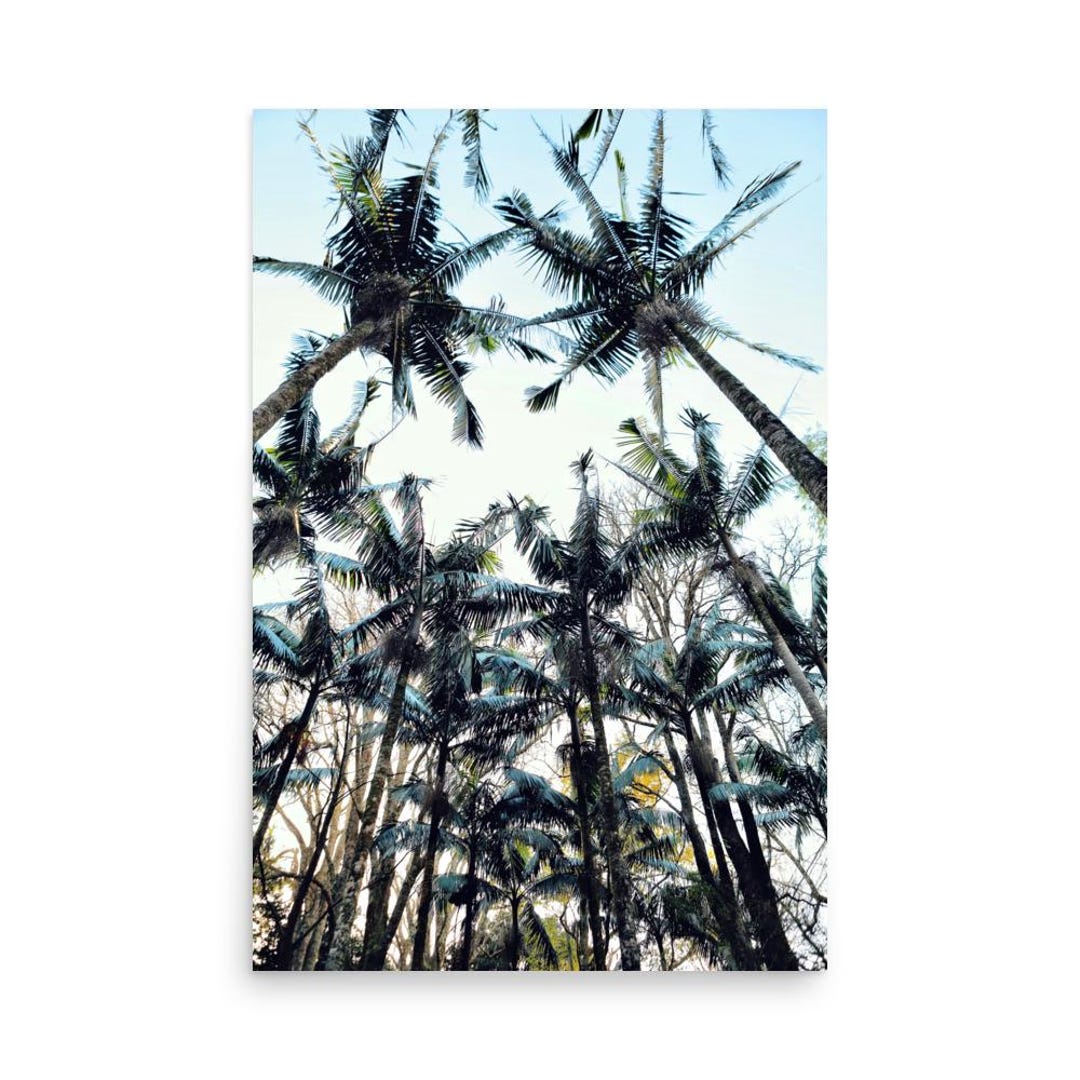 Azorean Palms - Etsy