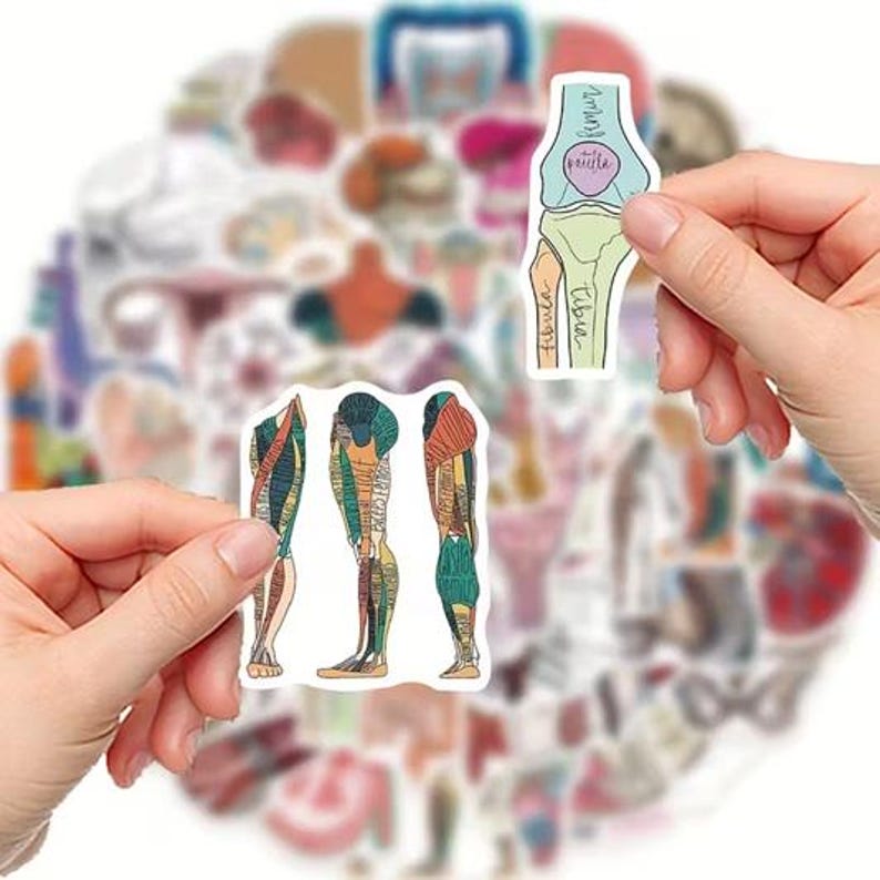 Anatomy Sticker Pack, Medical Stickers, Vintage Anatomy Stickers, Skull ...