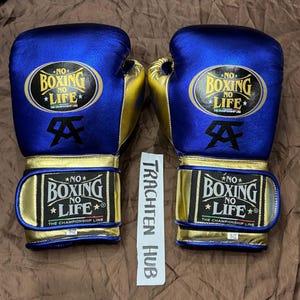 May include: A pair of blue and gold boxing gloves. The gloves have the text "NO BOXING NO LIFE" and "THE CHAMPIONSHIP LINE" printed on them. The gloves are 16-02 in size.