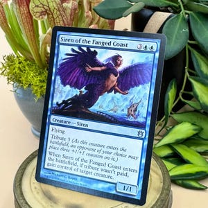 Siren of the Fanged Coast Artist Proof Card