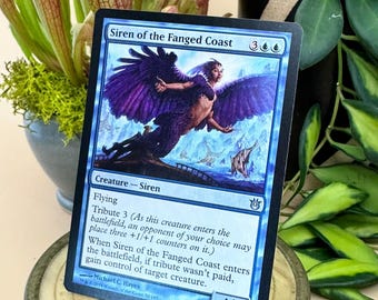 May include: A Magic: The Gathering card titled "Siren of the Fanged Coast." The card features a blue and purple illustration of a siren with large wings. The card text describes the creature's abilities, including "Flying" and "Tribute 3."