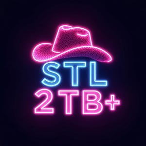 STL Pack 2TB+, Stl printing, 3d printing, gaming models, nsfw, lewd 3d print file, instant download