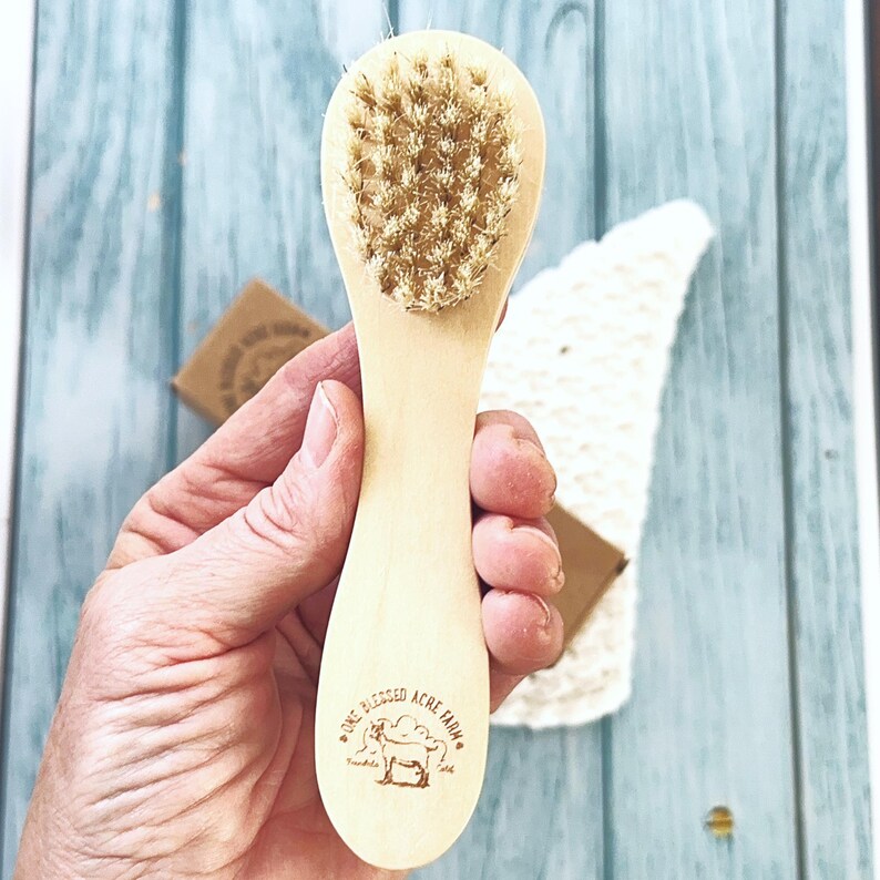Puede incluir: Un cepillo de madera de color claro con cerdas r&iacute;gidas de color tostado. El mango presenta un logotipo circular con una ilustraci&oacute;n de una cabra y el texto One Blessed Acre Farm. El cepillo tiene un dise&ntilde;o liso y redondeado con veta natural.