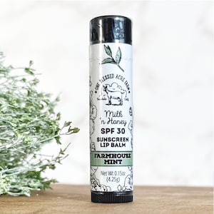 Baume à lèvres à la menthe poivrée Cadeau de shower de mariage Baume à lèvres au lait de chèvre Baume à lèvres à la menthe et baume à lèvres bouclier solaire Beurre naturel pour les lèvres