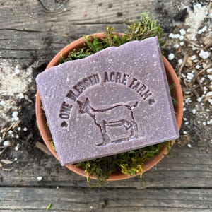 May include: A rectangular bar of purple soap featuring an embossed graphic of a goat and the text One Blessed Acre Farm. The soap is positioned inside a small terracotta-coloured bowl filled with green moss.