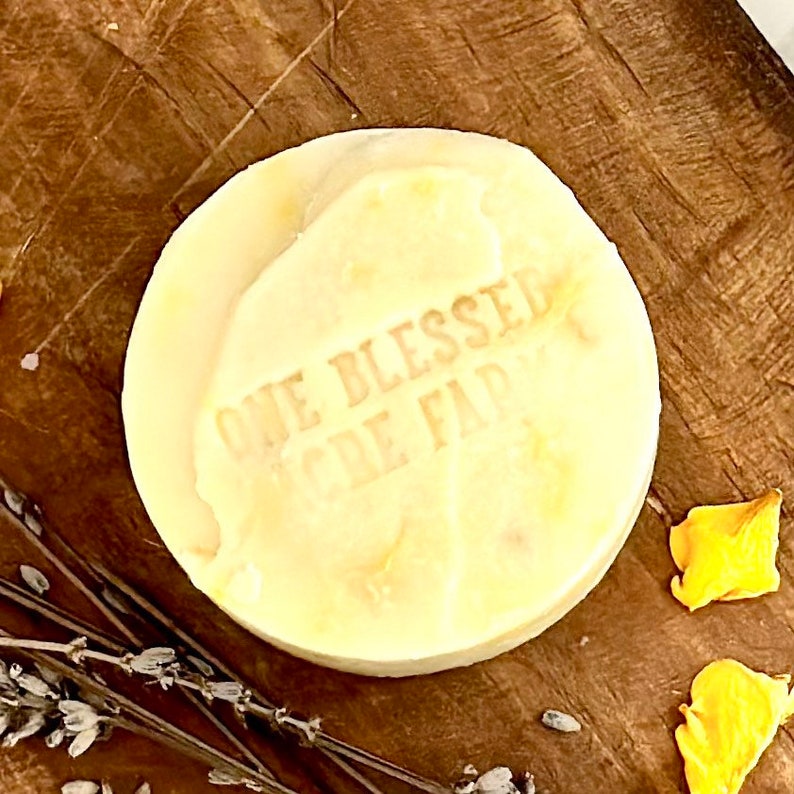 Goat Milk Conditioner Bar Natural Conditioner Bar Detangler Etsy