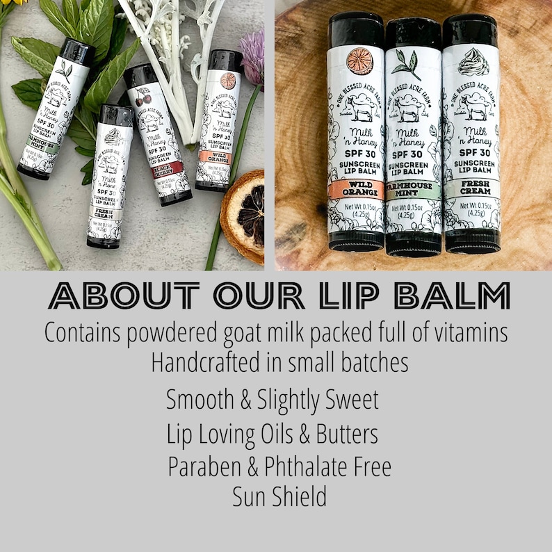 May include: Four different flavored lip balms with goat milk, SPF 30 sunscreen, and a variety of scents including Wild Orange, Farmhouse Mint, and Fresh Cream. The lip balms are handcrafted in small batches and are paraben and phthalate free.  The lip balms are displayed on a wooden surface with a green plant in the background.