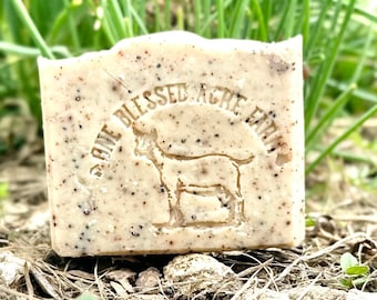 Pumice Soap Goat Milk Bar Soap Pumice Facial Bar Goat Milk Gardeners Soap Exfoliating Goat Milk Soap Rosemary Soap Bulk Set Gardener Gift