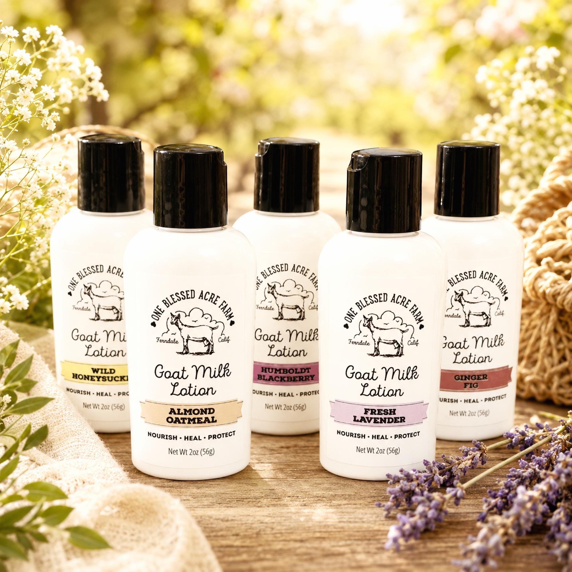 Caring Milk Lotion Cream セット Bulk Goat Milk Lotion Hand Lotion Goat Milk Hand Cream Travel Size