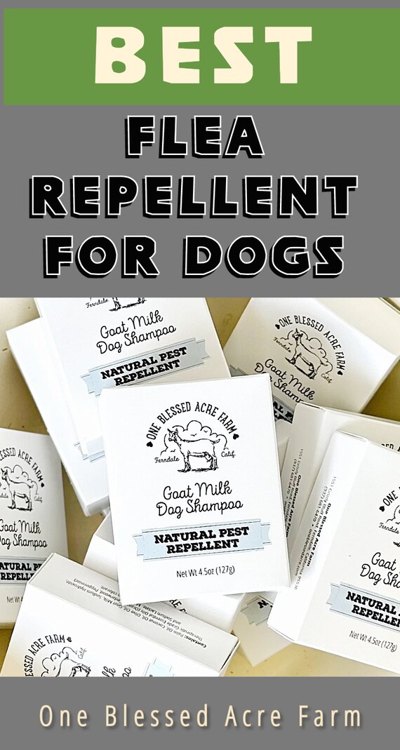 Dog Mom Gift Soap for Dog Lover Shampoo Soap for Dog Dad Pet