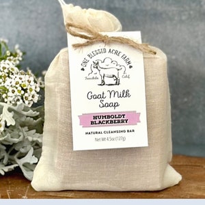 Blackberry Goat Milk Bar Soap Blackberry Soap Bundle Bulk Set Soap Humboldt County Blackberry Soap Travel Size Guest Soap Gift For Mom Gift