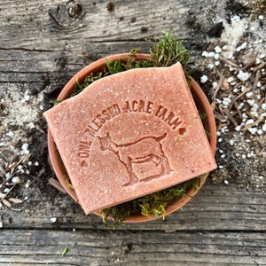 Peach Summer Soap Bar Goat Milk Hand Soap Coconut Oil Bath Product Summer Skincare For Summer Scent Gift Set Fresh Natural Cleanser For Skin