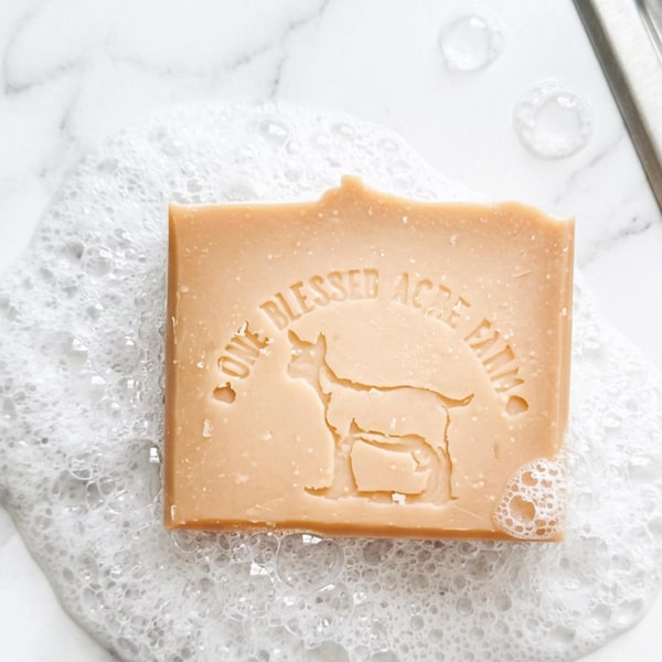 Jabón en barra de leche de cabra con moras Paquete de jabón de moras a granel Jabón de moras del condado de Humboldt Jabón de moras tamaño viaje Jabón para invitados Regalo para mamá