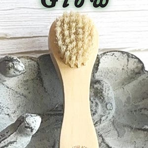 Cepillo facial de belleza natural con mango de madera, accesorio de baño para limpieza de piel, kit de spa, herramienta de exfoliación, regalo de belleza, paquete de bienestar facial. imagen 16
