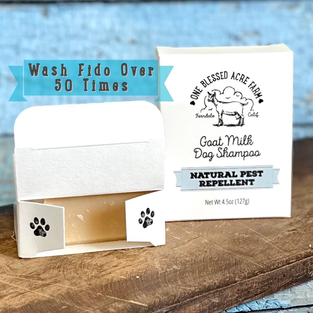 Dog Shampoo Bar Goat Milk Soap for Dog Shampoo Soap Pet Etsy