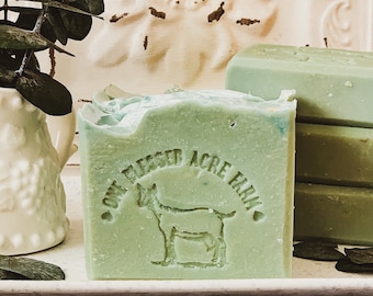 Eucalyptus Goat Milk Bar Soap, Natural Cleansing Bar, Lush Lather, Moisturizing, Eczema, Dry Skin Relief
