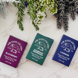 Guest Soap Travel Size Soap Air BNB Guest Soap Bed And Breakfast Soap Mini Soap Bar Bulk Set Soap Baby Shower Favor Wedding Reception Favor