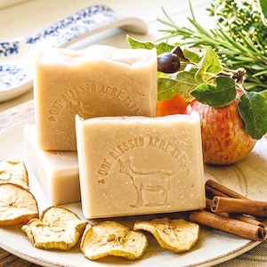 Apple Cider Handmade Skincare Bar Natural Soap Gift Box Holiday Present For Her Bath Gift Spa Set Fall Season Mulled Cider Goat Milk Soap