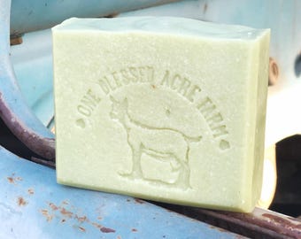 Jabón de leche de cabra y pepino para piel sensible, regalo de temática vegetariana, recuerdo de boda, jabón con aroma a pepino, regalo hecho a mano para baby shower.