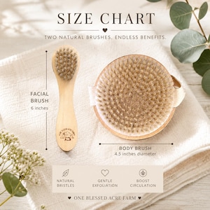 May include: A facial brush measuring 6 inches and a round body brush with a 4.5 inches diameter, both featuring natural bristles and wooden handles. The text reads SIZE CHART, TWO NATURAL BRUSHES. ENDLESS BENEFITS., NATURAL BRISTLES, GENTLE EXFOLIATION, BOOST CIRCULATION, ONE BLESSED ACRE FARM.