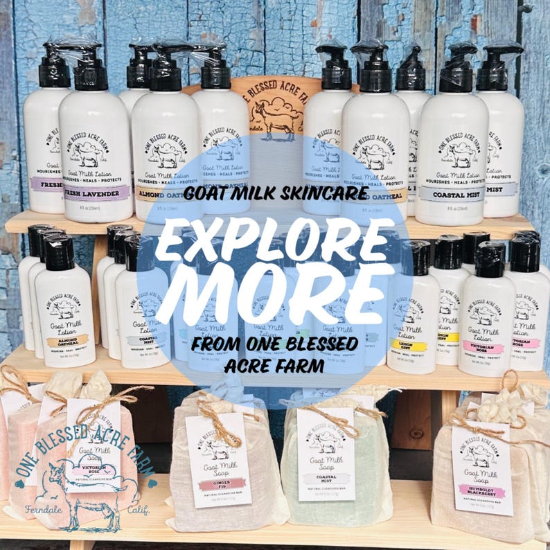 May include: A collection of white plastic bottles with black pump dispensers and bars of soap wrapped in beige fabric, all labelled One Blessed Acre Farm Goat Milk Skincare. The image features text overlays reading GOAT MILK SKINCARE EXPLORE MORE.