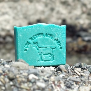 May include: A teal green bar of soap with the words "Only Diesel" and "Approved" in a circle around a stylized goat head.