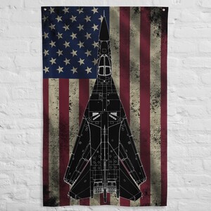 F-111 Ardvark Aircraft Flag