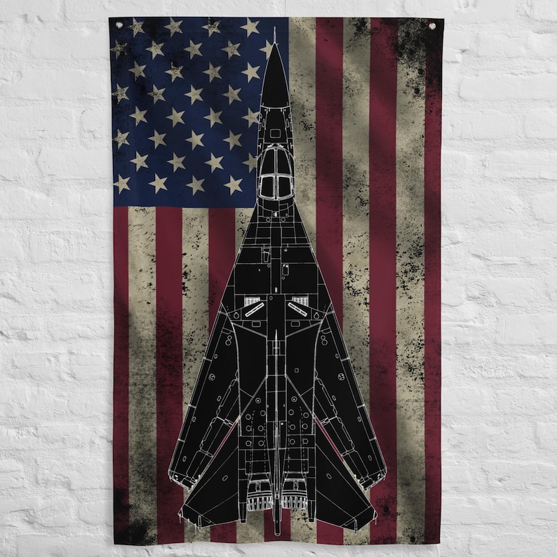 F-111 Ardvark Aircraft Flag