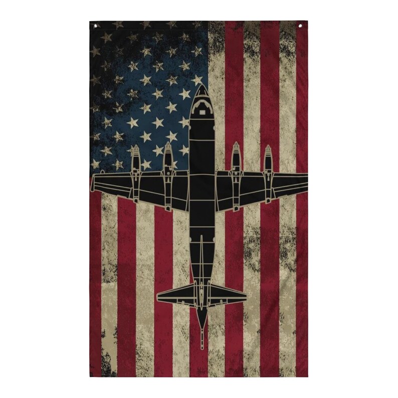P-3 Orion U.S. Flag