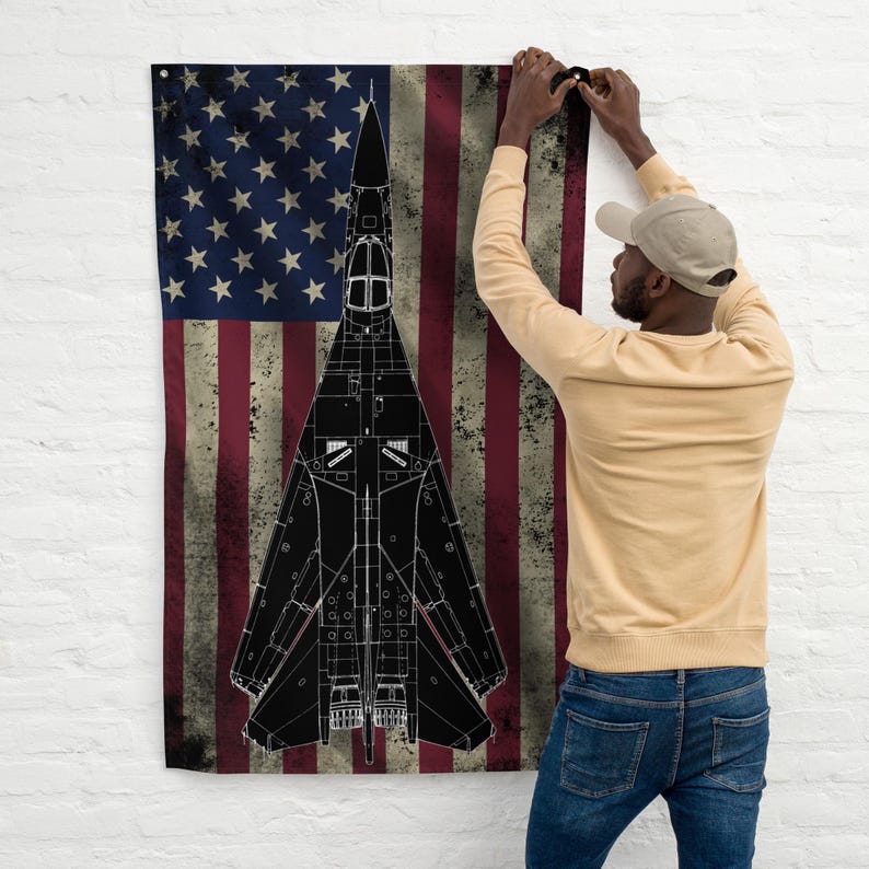 F-111 Ardvark Aircraft Flag