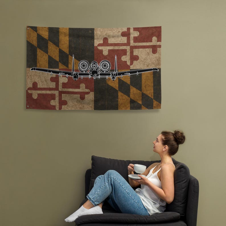A-10 Warthog Maryland Flag Head On